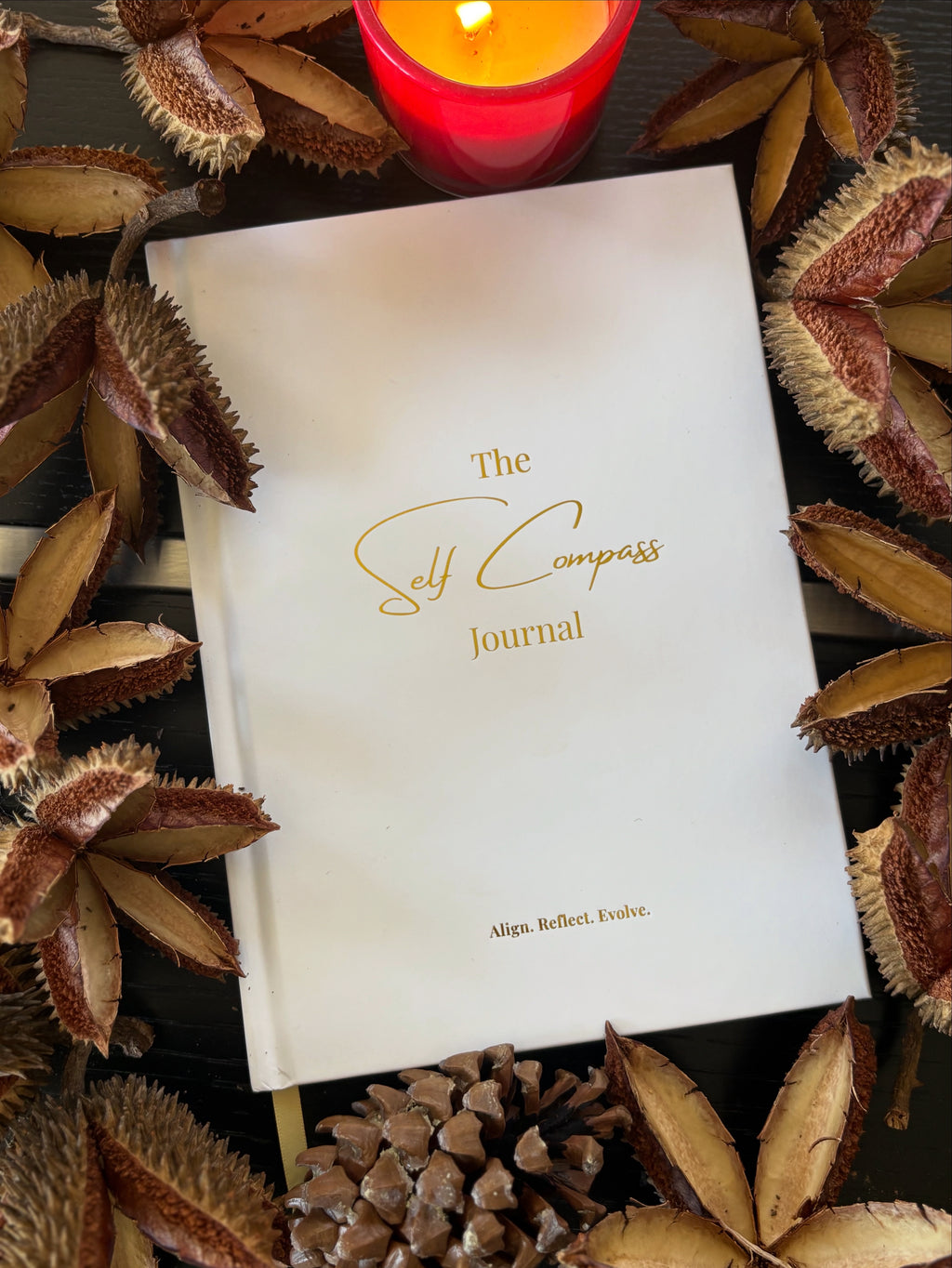 The Self Compass Journal
